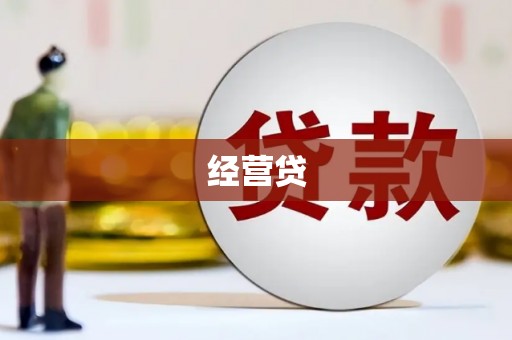 横县经营贷