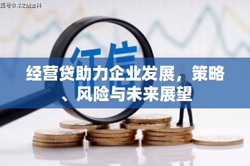 横县经营贷助力企业发展，策略、风险与未来展望