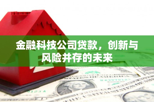 横县金融科技公司贷款，创新与风险并存的未来