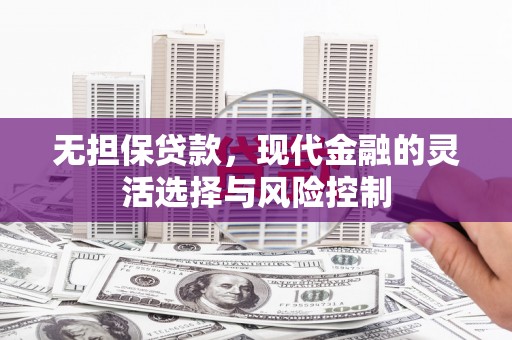 横县无担保贷款，现代金融的灵活选择与风险控制