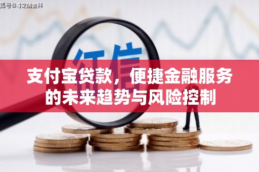 横县支付宝贷款，便捷金融服务的未来趋势与风险控制