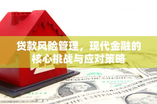 横县贷款风险管理，现代金融的核心挑战与应对策略