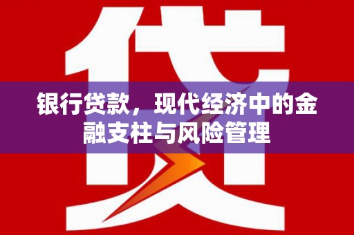横县银行贷款，现代经济中的金融支柱与风险管理