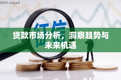 横县贷款市场分析，洞察趋势与未来机遇