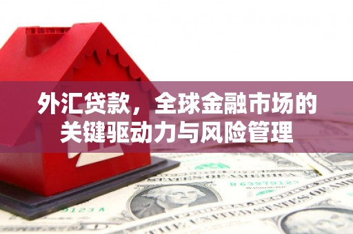 横县外汇贷款，全球金融市场的关键驱动力与风险管理