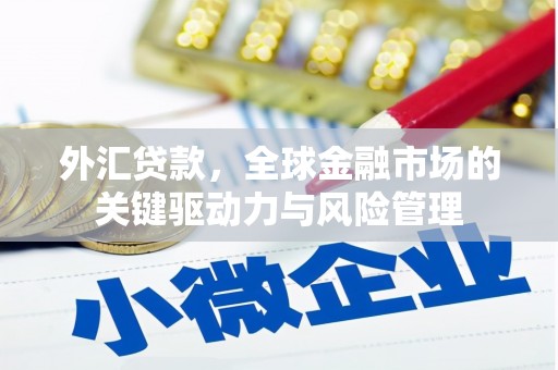 横县外汇贷款，全球金融市场的关键驱动力与风险管理