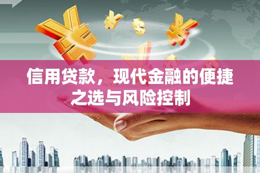 横县信用贷款，现代金融的便捷之选与风险控制