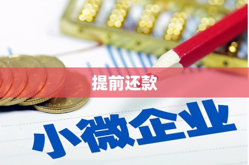 横县提前还款