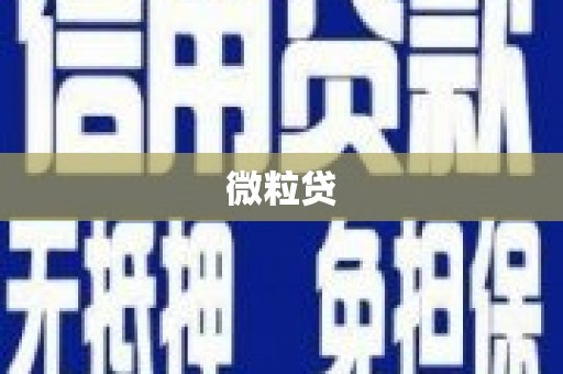 横县微粒贷