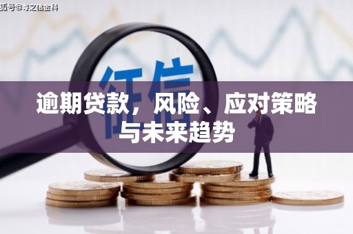 横县逾期贷款，风险、应对策略与未来趋势
