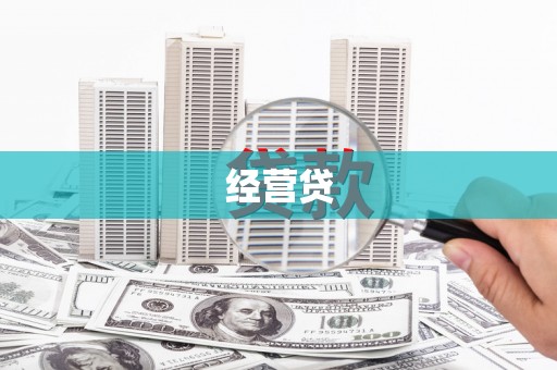 横县经营贷