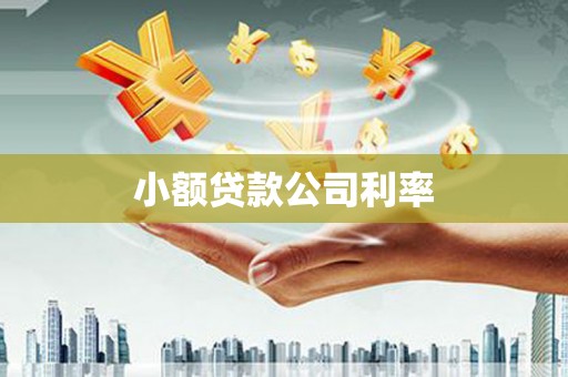 横县小额贷款公司利率