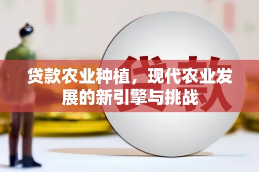 横县贷款农业种植，现代农业发展的新引擎与挑战