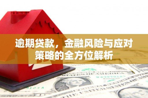 横县逾期贷款，金融风险与应对策略的全方位解析