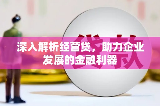 横县深入解析经营贷，助力企业发展的金融利器