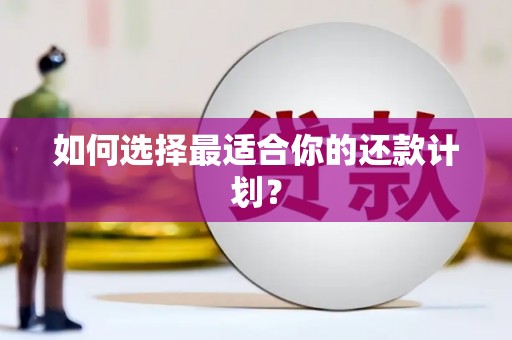 横县如何选择最适合你的还款计划？