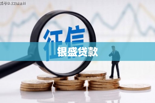 横县银盛贷款