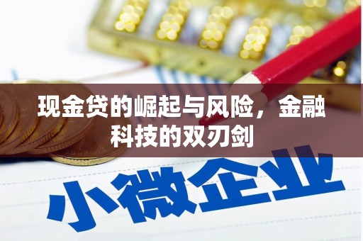 横县现金贷的崛起与风险，金融科技的双刃剑