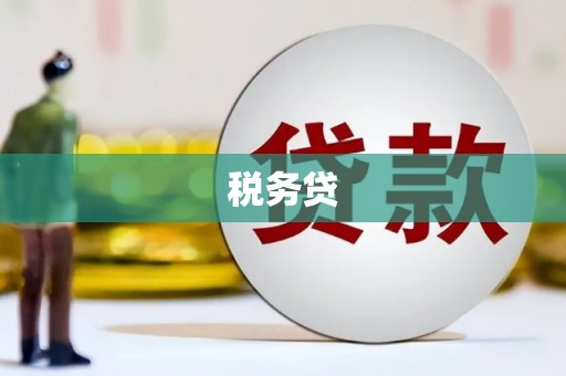 横县税务贷