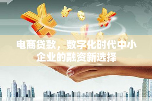 横县电商贷款，数字化时代中小企业的融资新选择
