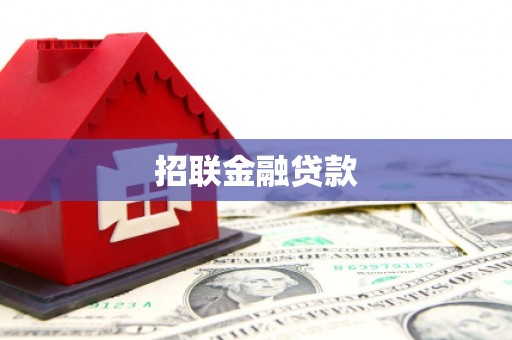 横县招联金融贷款