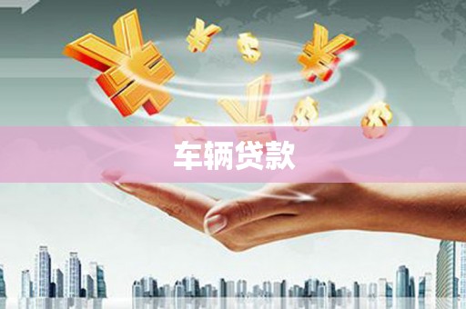 横县车辆贷款