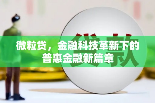 横县微粒贷，金融科技革新下的普惠金融新篇章