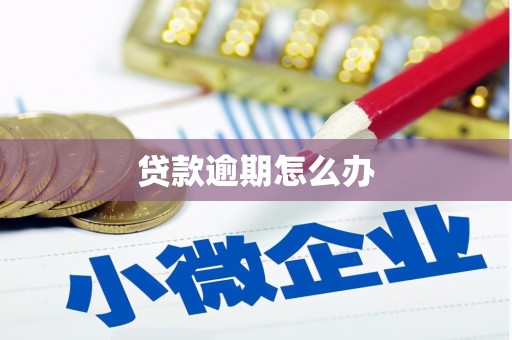 横县贷款逾期怎么办