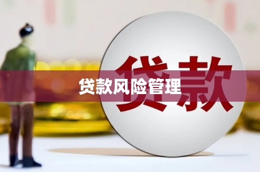 横县贷款风险管理