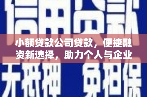 横县小额贷款公司贷款，便捷融资新选择，助力个人与企业成长