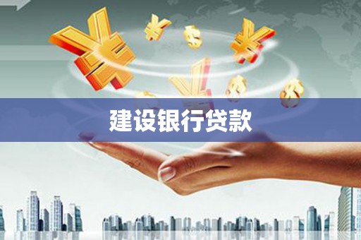 横县建设银行贷款