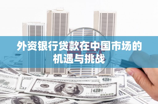 横县外资银行贷款在中国市场的机遇与挑战