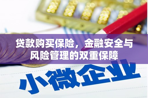 横县贷款购买保险，金融安全与风险管理的双重保障