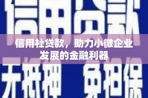 横县信用社贷款，助力小微企业发展的金融利器