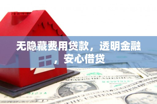 横县无隐藏费用贷款，透明金融，安心借贷