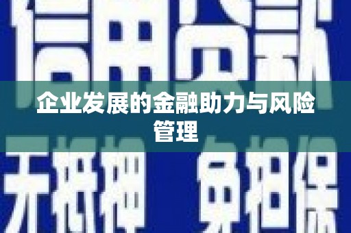 横县企业发展的金融助力与风险管理