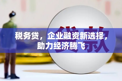 横县税务贷，企业融资新选择，助力经济腾飞