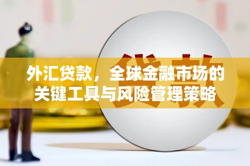 横县外汇贷款，全球金融市场的关键工具与风险管理策略