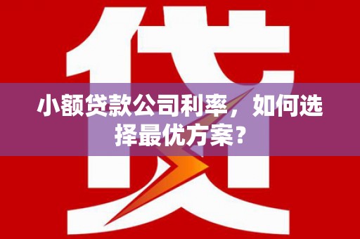 横县小额贷款公司利率，如何选择最优方案？