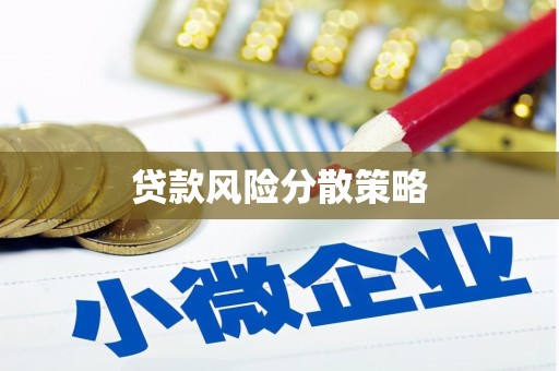 横县贷款风险分散策略