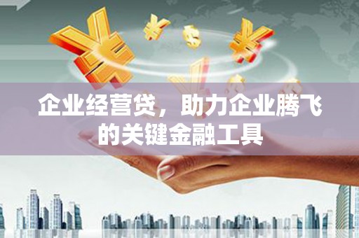 横县企业经营贷，助力企业腾飞的关键金融工具