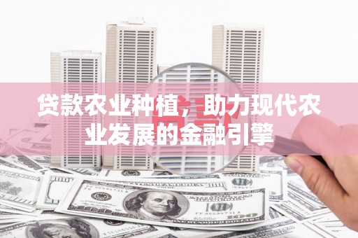 横县贷款农业种植，助力现代农业发展的金融引擎