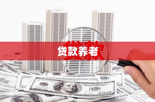 横县贷款养老