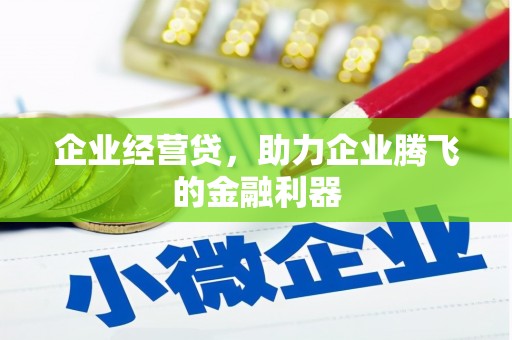 横县企业经营贷，助力企业腾飞的金融利器