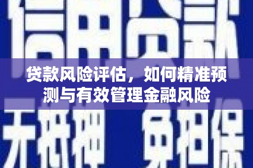 横县贷款风险评估，如何精准预测与有效管理金融风险