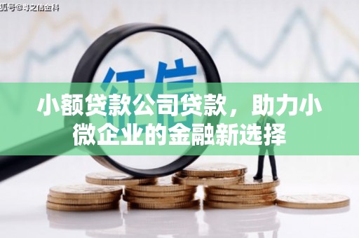 横县小额贷款公司贷款，助力小微企业的金融新选择