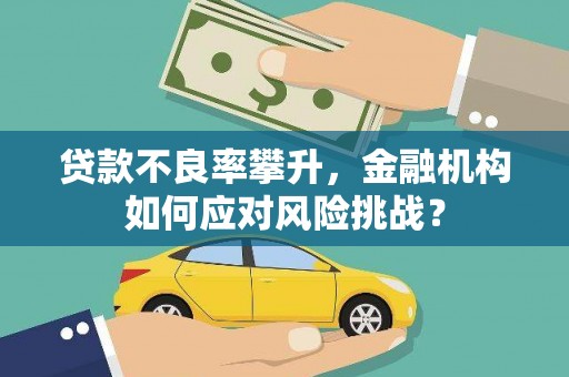 横县贷款不良率攀升，金融机构如何应对风险挑战？