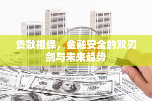 横县贷款担保，金融安全的双刃剑与未来趋势