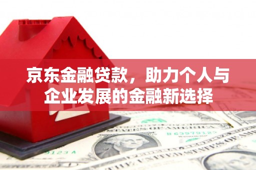 横县京东金融贷款，助力个人与企业发展的金融新选择