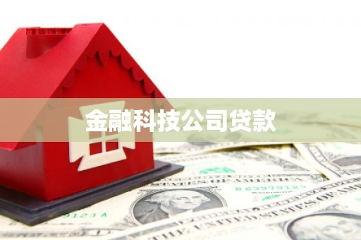 横县金融科技公司贷款